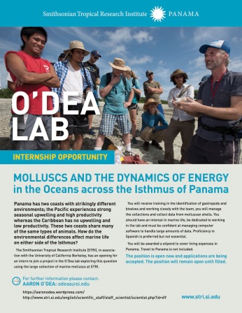 Mollusc opportunity in O'Dea lab